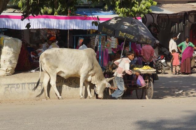 Urlaub in Indien 2016